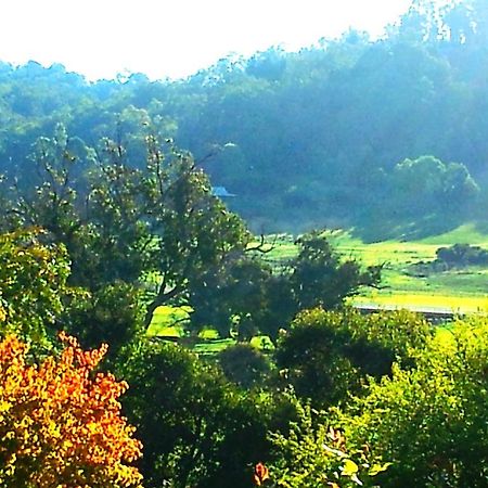 Brookvale House Balingup ξενώνας Εξωτερικό φωτογραφία