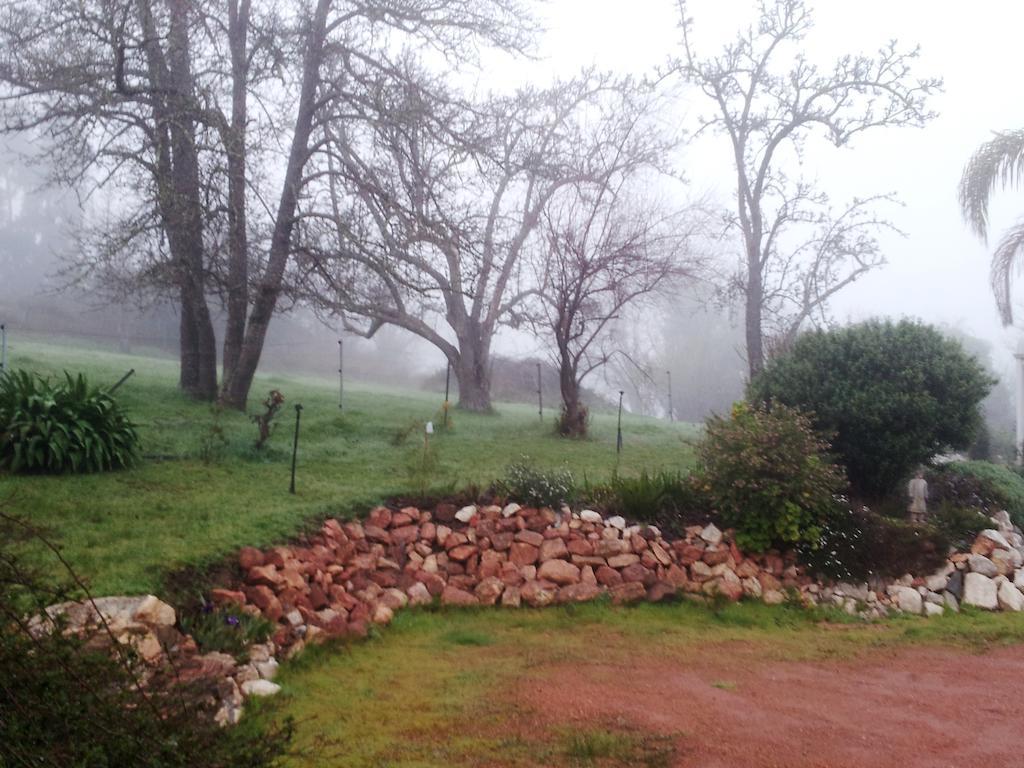 Brookvale House Balingup ξενώνας Εξωτερικό φωτογραφία