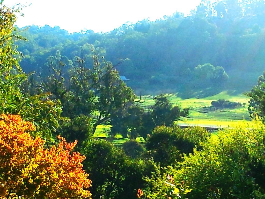 Brookvale House Balingup ξενώνας Εξωτερικό φωτογραφία